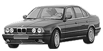 BMW E34 P1891 Fault Code